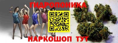 мяу мяу мука Малгобек