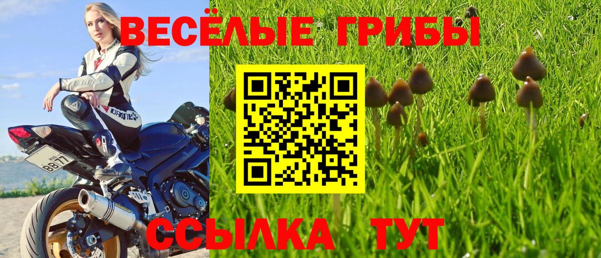 Галлюциногенные грибы GOLDEN TEACHER Югорск